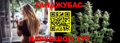 мдпв Абакан