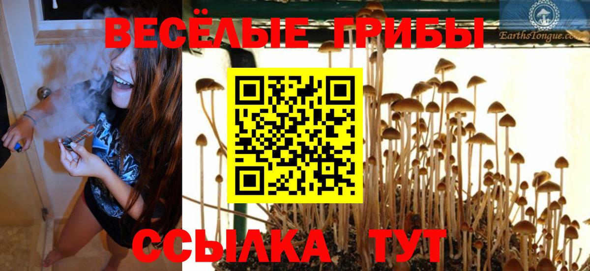 Псилоцибиновые грибы GOLDEN TEACHER Азнакаево