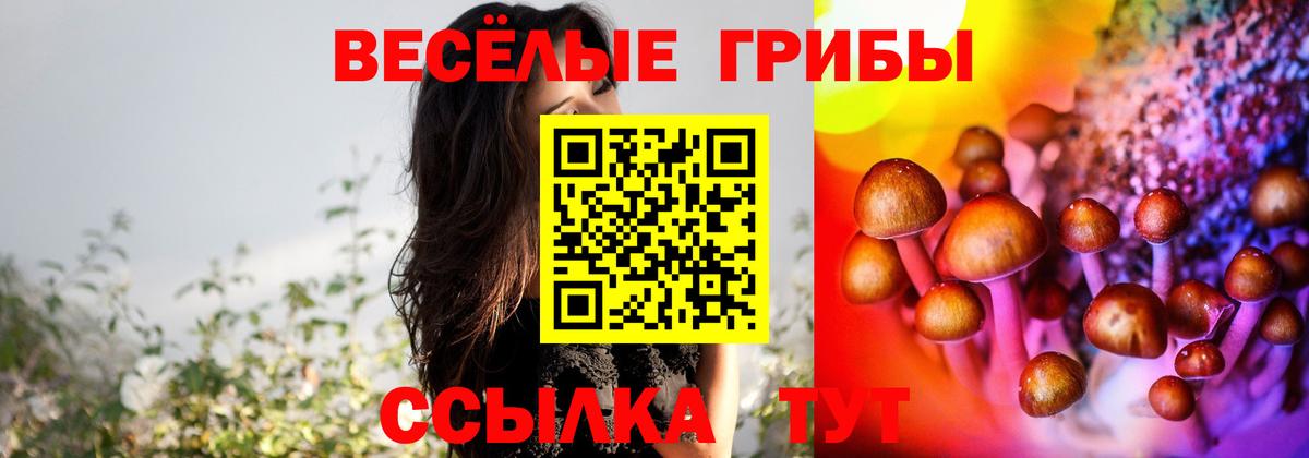 Псилоцибиновые грибы мицелий  Галлюциногенные грибы мухоморы  Вход с VPN  Азнакаево 